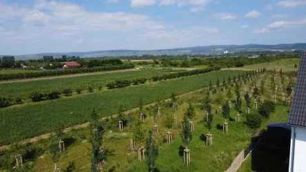 Rheingaublick - Grundstück kaufen in Gau-Algesheim - 485 m² Baugrundstück in idyllischer Feldrandlage mit traumhaftem Blick zum Kauf in Gau-Algesheim