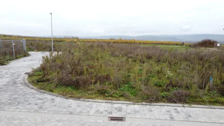 Baugrundstück - Grundstück kaufen in Gau-Algesheim - Erschlossenes Baugrundstück zum Kauf im Gau-Algesheimer Neubaugebiet "Im Steinert"