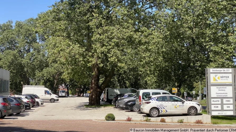 Parkplatz vorne neu