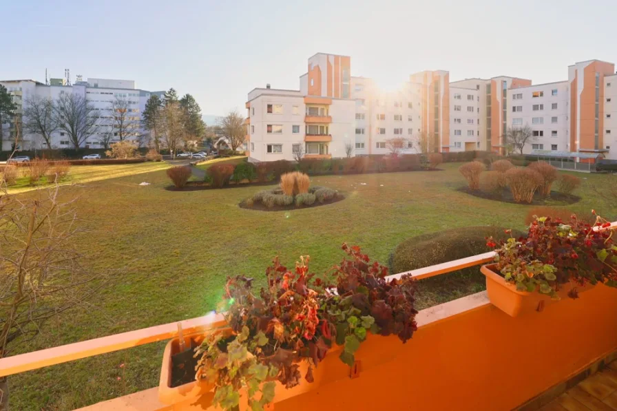 Ausblick vom Balkon