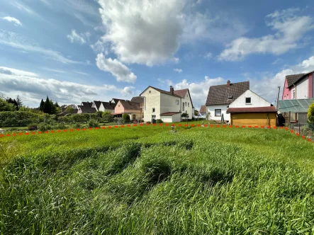 Startbild - Haus kaufen in Offenbach an der Queich - Familientraum in Offenbach:Neues Einfamilienhaus mit idyllischem Garten