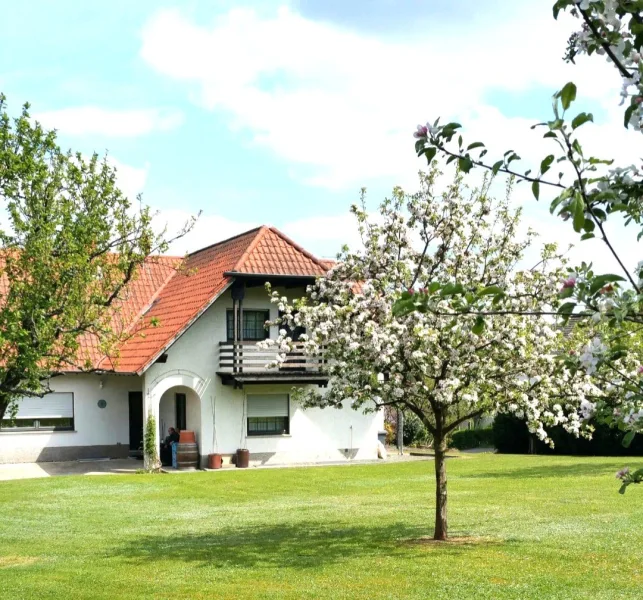 Garten im Sommer