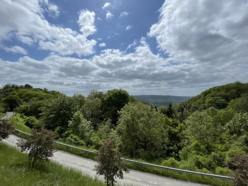 Weitblick - Haus kaufen in Rinteln - Unter der Schaumburg mit riesigem Grundstück