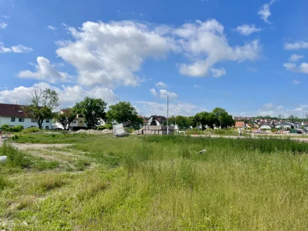 Grundstück - Grundstück kaufen in Nackenheim - Traumhafter Bauplatz in Bestlage von Nackenheim