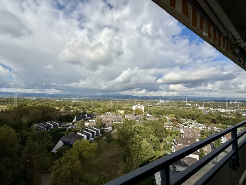 Ausblick - Wohnung mieten in Mainz / Mombach - 4 Zi.-Wohnung mit sensationellem Panoramablick bis in den Taunus. Frisch renoviert!