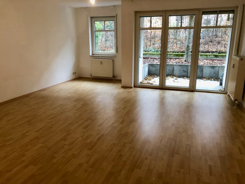 Wohnen - Wohnung mieten in Mainz - Große Einzimmerwohnung mit Terrasse in der Mainer-Neustadt, ideal für Studierende