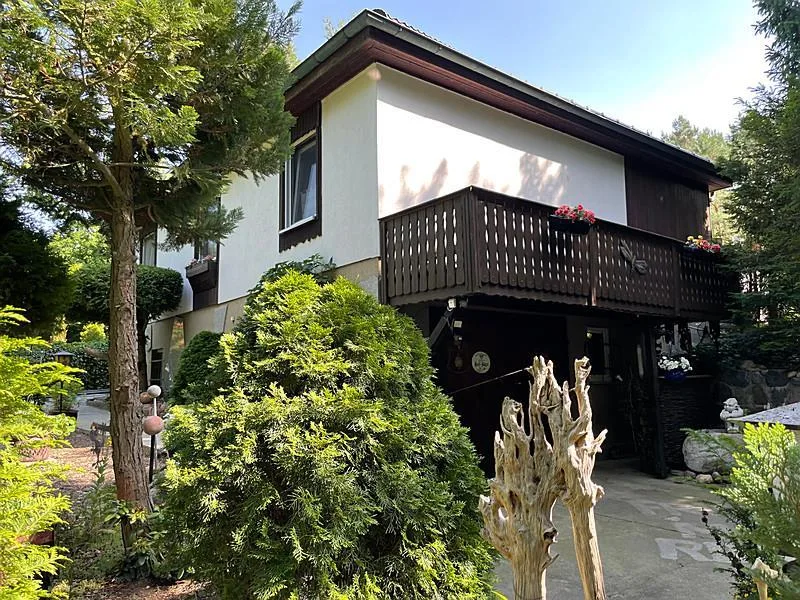 Eingang Garage im KG - Haus kaufen in Storkow , Mark - Ihre Wellness Oase - Einfamilienhaus mit traumhaftem Garten