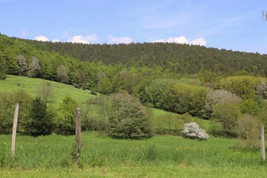 Ausblick Küche