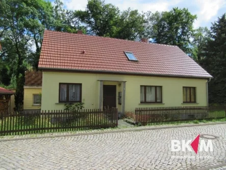 Hausansicht - Haus kaufen in Georgenthal - Großzügiges Einfamilienhaus mit viel Potenzial im Kurort