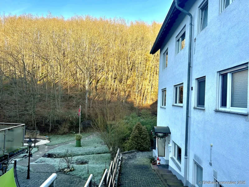   Unmittelbare Nähe zum Nationalpark Eifel und zum Eifelsteig