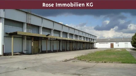 Ansicht - Halle/Lager/Produktion kaufen in Küstriner Vorland - ROSE IMMOBILIEN KG: Lager-/Produktion zu verkaufen!