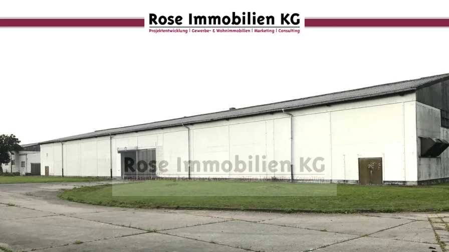 Halle 9 - Halle/Lager/Produktion mieten in Küstriner Vorland - ROSE IMMOBILIEN KG: Lagerhalle mit Kranbahn und 6,8 m Höhe zu vermieten!