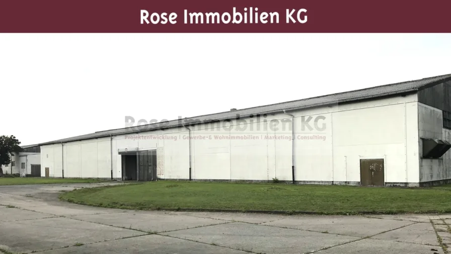 Halle 9 - Halle/Lager/Produktion mieten in Küstriner Vorland - ROSE IMMOBILIEN KG: Lagerhalle mit Kranbahn und 6,8 m Höhe zu vermieten!