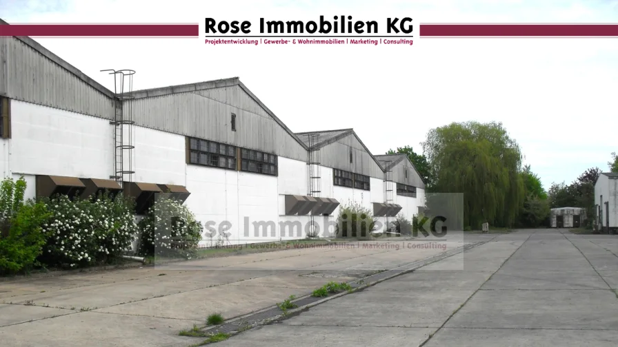 Südseite Halle 13 - Halle/Lager/Produktion mieten in Küstriner Vorland - ROSE IMMOBILIEN KG: Lagerhalle zu vermieten!