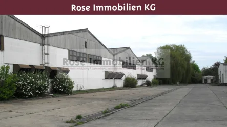 Südseite Halle 13 - Halle/Lager/Produktion mieten in Küstriner Vorland - ROSE IMMOBILIEN KG: Lagerhalle zu vermieten!