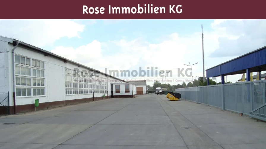 Halle 6 Südseite - Halle/Lager/Produktion kaufen in Küstriner Vorland - ROSE IMMOBILIEN KG: Lagerhalle mit 4,7 m Höhe zu verkaufen!