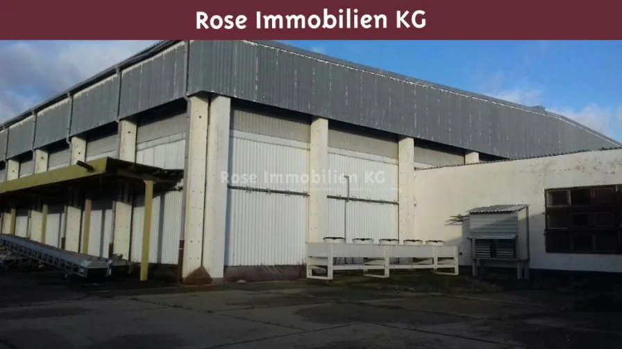 Ansicht - Halle/Lager/Produktion kaufen in Küstriner Vorland - ROSE IMMOBILIEN KG: Lagerhalle mit 8,5 m Höhe, Kühlzellen und Außenfläche zu verkaufen!