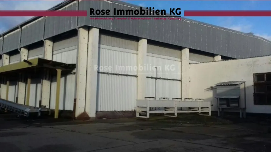 Ansicht - Halle/Lager/Produktion kaufen in Küstriner Vorland - ROSE IMMOBILIEN KG: Lagerhalle mit 8,5 m Höhe, Kühlzellen und Außenfläche zu verkaufen!