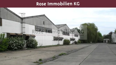 Südseite Halle 13 - Halle/Lager/Produktion kaufen in Küstriner Vorland - ROSE IMMOBILIEN KG: Lagerhalle zu verkaufen!