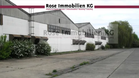 Südseite Halle 13 - Halle/Lager/Produktion kaufen in Küstriner Vorland - ROSE IMMOBILIEN KG: Lagerhalle zu verkaufen!