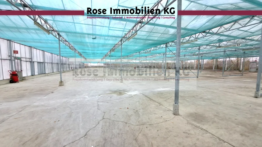 Lager - Halle/Lager/Produktion mieten in Rahden , Westf - ROSE IMMOBILIEN KG: Kaltlager, Gewächshaus in Rahden zu vermieten!