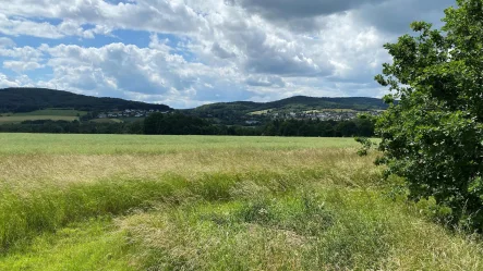 Baugrunstück in Bückeburg - Grundstück kaufen in Bückeburg - Baugrundstück in der Residenzstadt Bückeburg