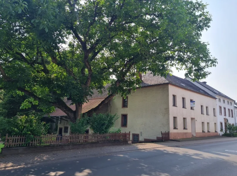 schön - Haus kaufen in Mettendorf - Schönes Bauernhaus mit Nebengebäuden und Ausbaupotential.