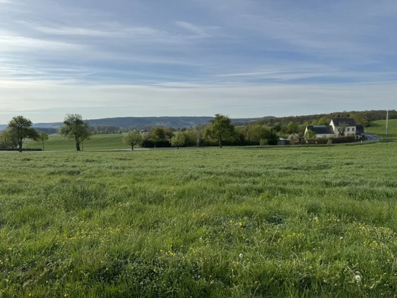 Nusbaum - Grundstück kaufen in Nusbaum - Herrliches Baugrundstück mit Blick ins Grüne! L- Echternach nur 15min!