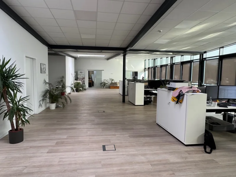 Office-Space04