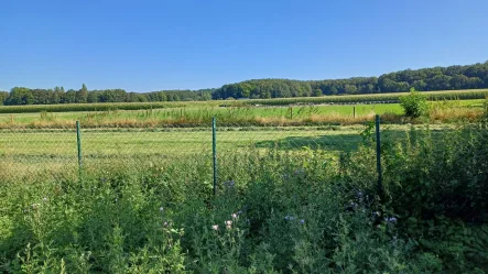  - Haus kaufen in Viersen - Freistehendes Einfamilienhaus - NEUBAU in Viersen - Dülken !