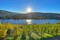 Weinberge Traben-Trarbach