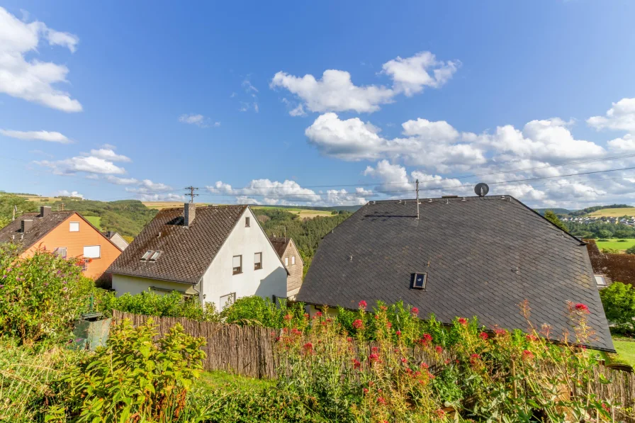 Aussicht Terrasse - Wohnung mieten in Gusterath - Schönes Apartment im gepflegten Hause - Gusterath nahe Universität