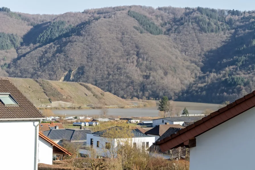 Aussicht - Wohnung kaufen in Mehring - Moselblick - neue altersgerechte Wohnung mit tollem Balkon im Energiesparhaus Mehring