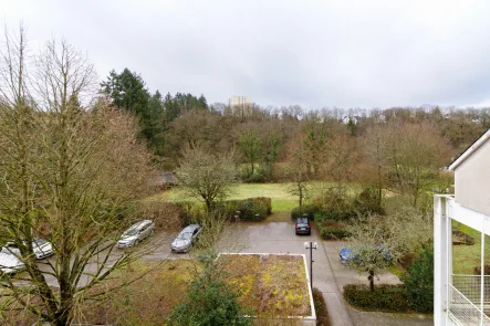 Aussicht 1 - Wohnung kaufen in Trier - Trier-Olewig - Gut aufgeteilte Dachgeschoßwohnung mit Ausbaureserve im Speicher und schönem Blick 