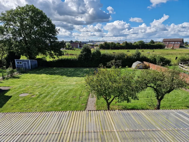 Blick in den Garten