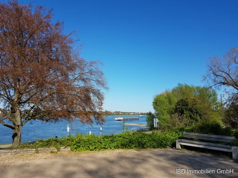 Wohnen am Rheinpark 1