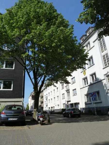 Ansicht grün - Wohnung mieten in Wuppertal - Ruhige 2 Zimmer Wohnung in Elberfeld