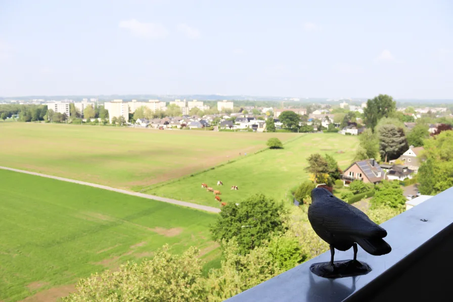 Aussicht - Wohnung kaufen in Hilden - Gepflegte Drei-Zimmer-Wohnung mit Blick ins Grüne