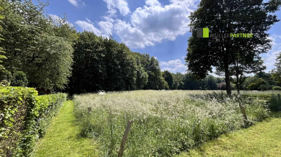 Wiese im rückwärtigen Bereich