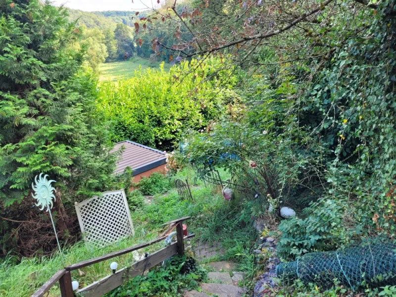 Blick vom Eingang in den Garten