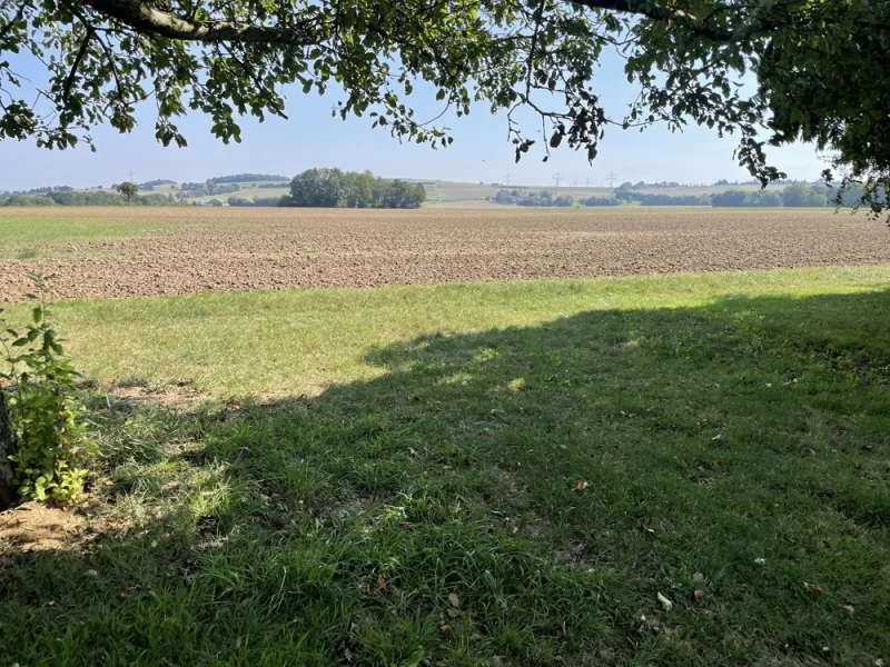 Blick auf Feld direkt neben dem Haus 