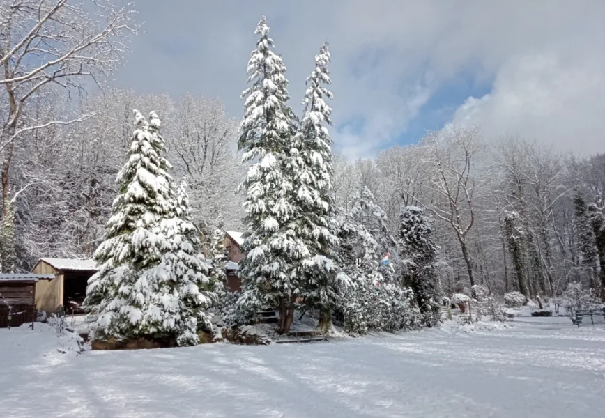 Garten im Winter