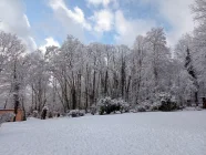 Garten im Winter