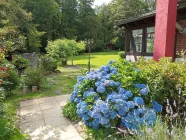 Garten im Sommer