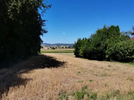 Ansicht - Grundstück kaufen in Löhne - Baugrundstück