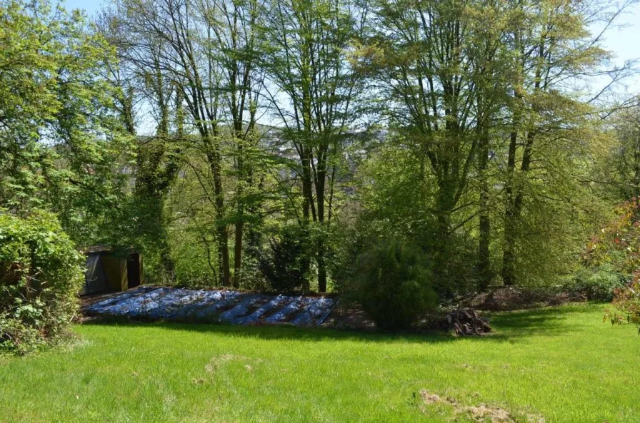 Blick auf das Grundstück - Grundstück kaufen in Vlotho - Baugrundstücke in reizvoller Lage von Vlotho