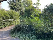 Vorderer Garten mit Aufgang zum Haus