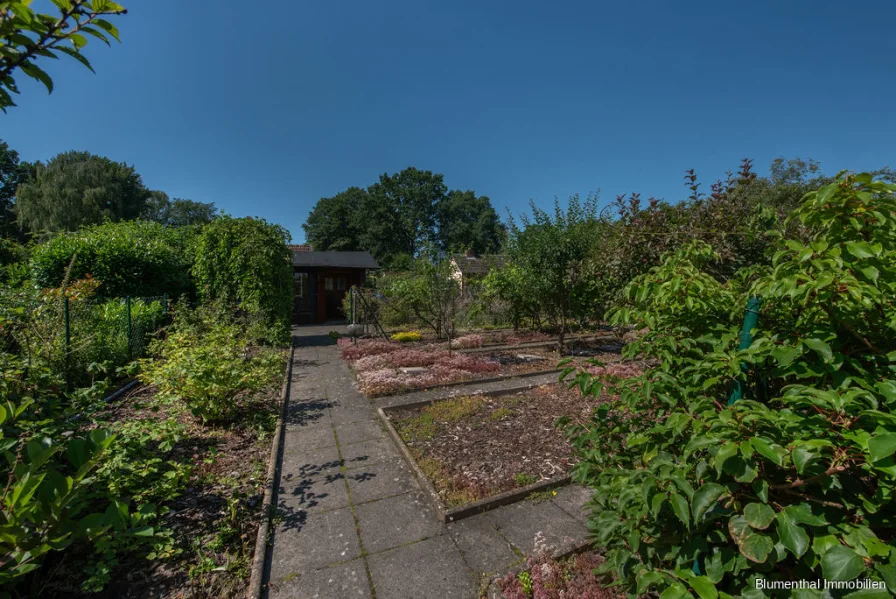 Gartengestaltung (Obstbäume sowie Sträucher)