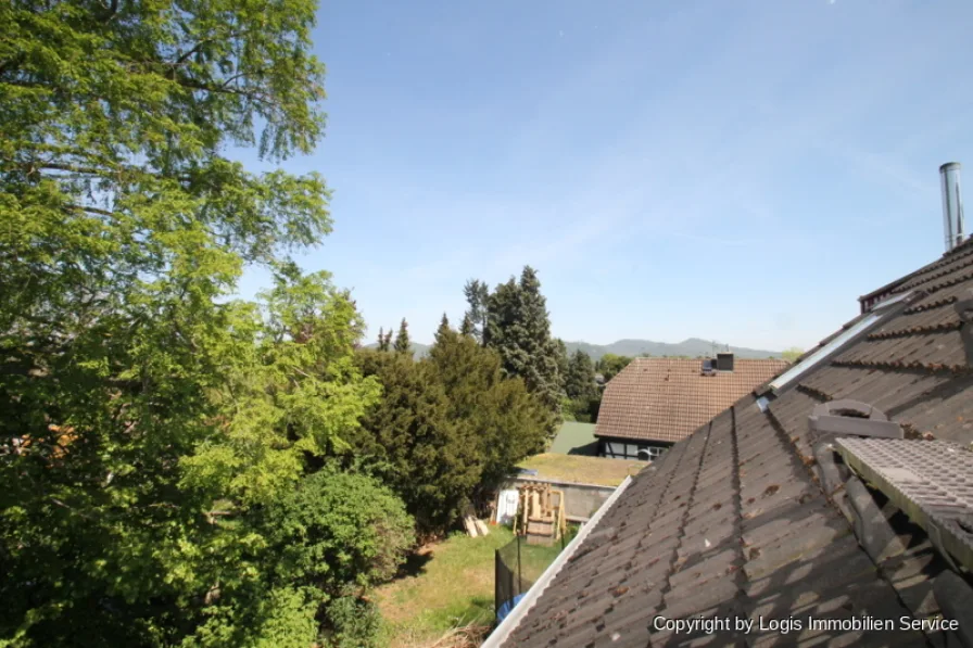 Blick auf Drachenfels