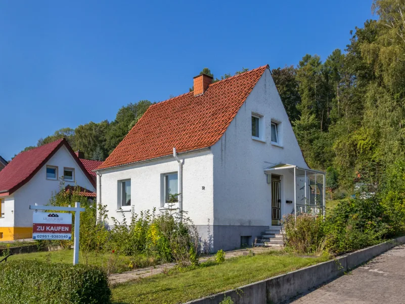 Vorder-/Seitenansicht - Haus kaufen in Büren - KLEINES HAUS IN BESTER WALDRANDLAGE - SANIEREN, ANBAUEN ODER NEU BAUEN - ALLES MÖGLICH